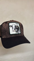 CASH COW TRUCKER