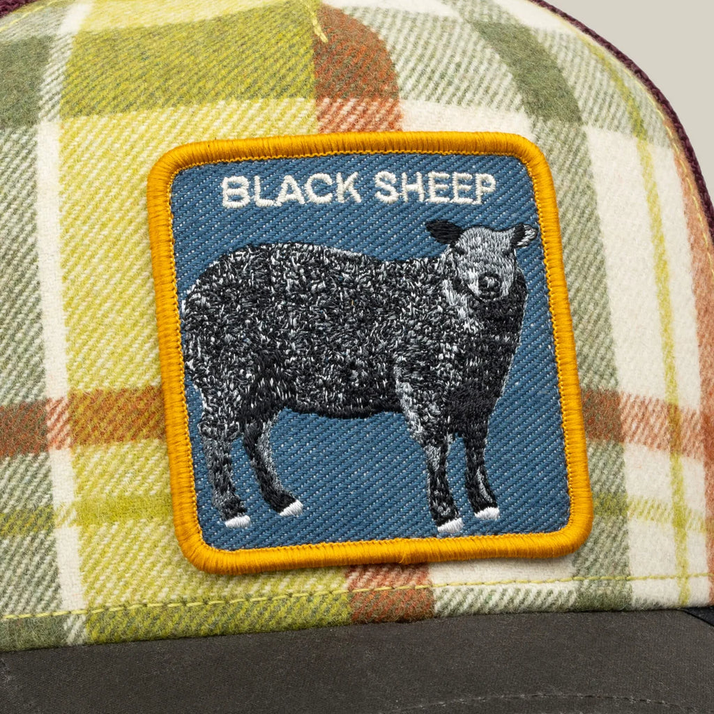 BLACK SHEEP