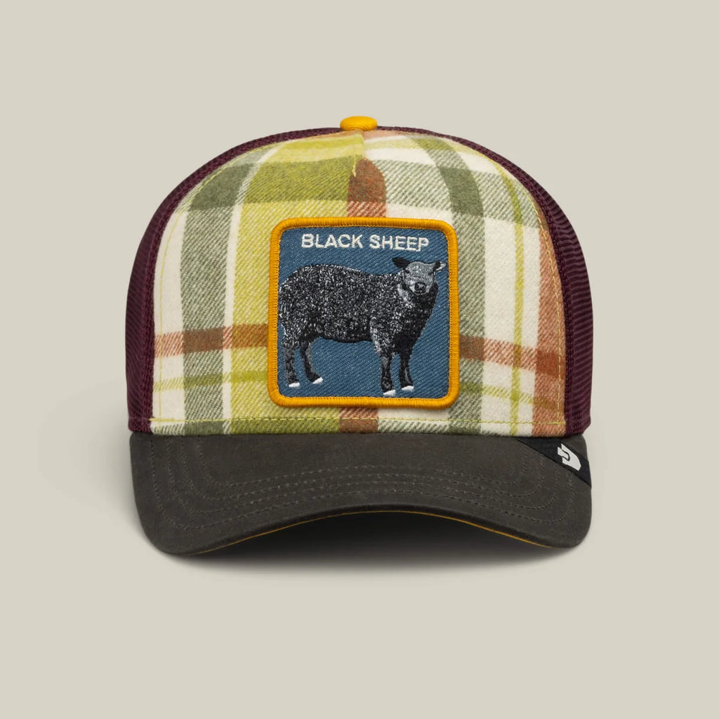 BLACK SHEEP